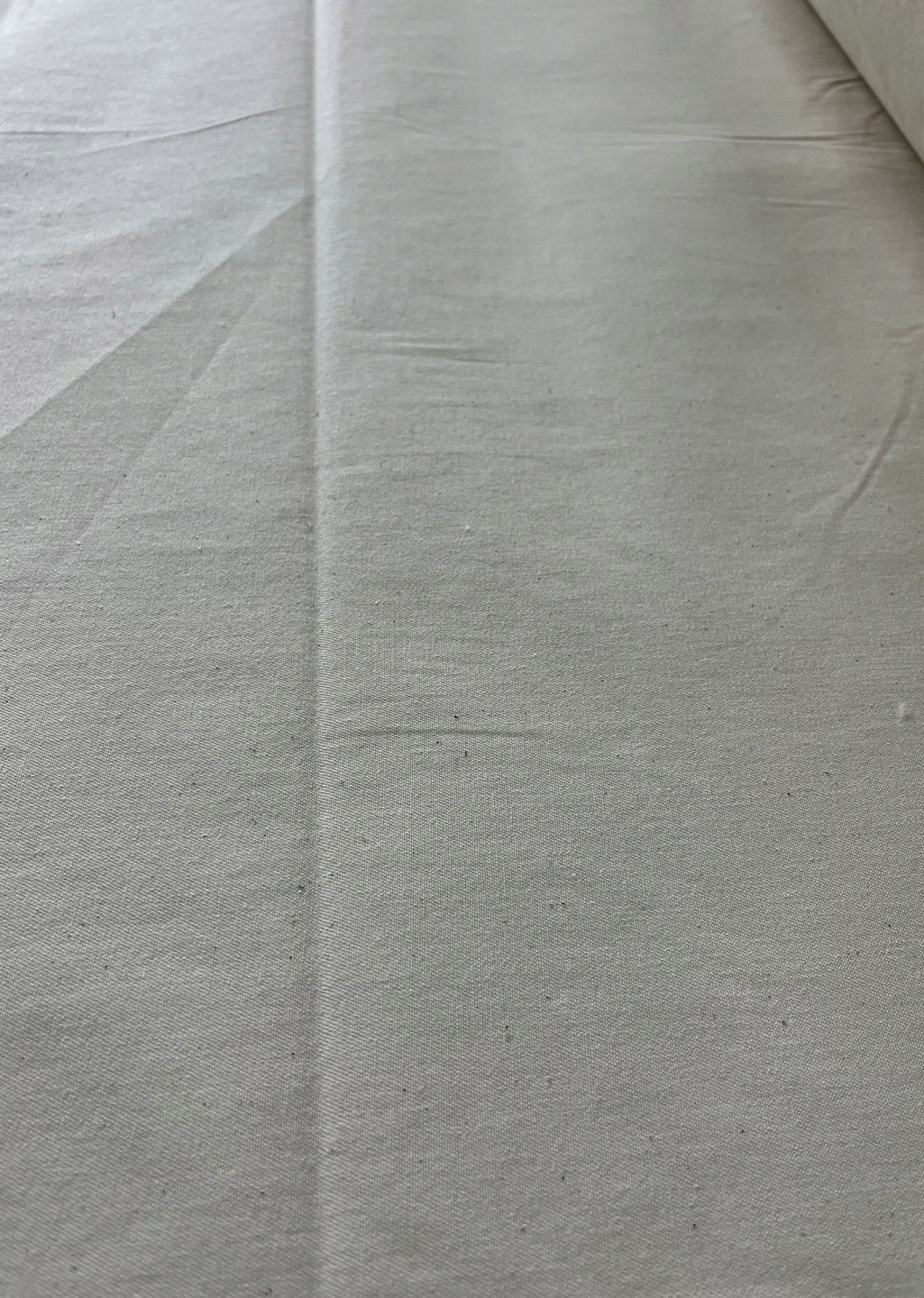 płótno bawełniane B-037, 255 cm, 210 gr-rolka 50m - obrazek 3